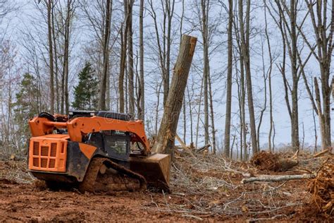 skid steer for clearing trees